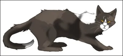 Quel est son nom anglais ?