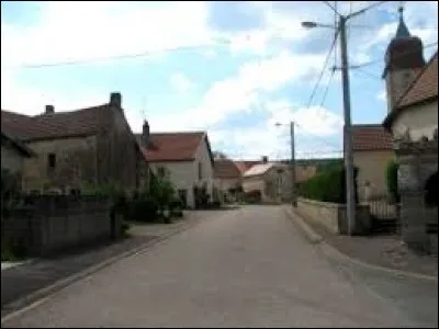 Nous terminons cette balade en Haute-Saône, à Villers-Vaudey. petit village de 60 habitants, il se situe dans l'ancienne région ...
