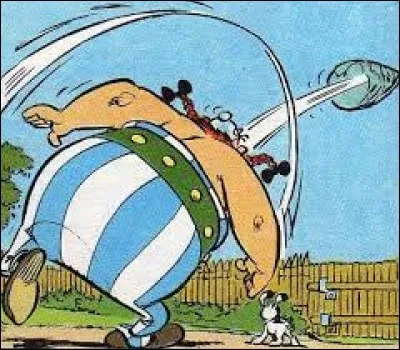 Lequel de ces personnages n'a-t-il pas reçu de menhir sur la tête ?