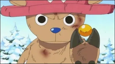 Quel animal est Chopper ?
