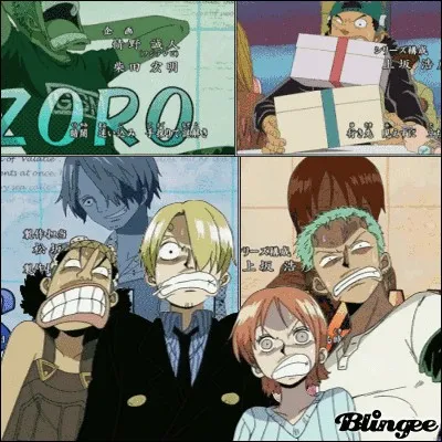 Dans quel ordre se compose l'équipage de Luffy ?