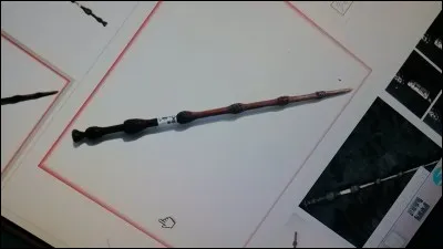 Comment Harry Potter est devenu maître de la Baguette de Sureau ?