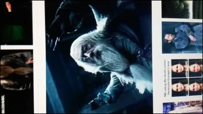 Qui a tué Dumbledore ?