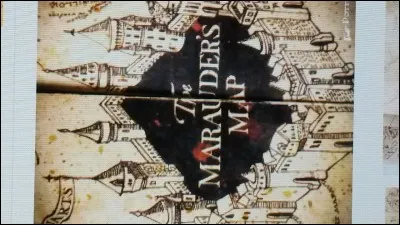 Dans quel ordre apparaissent les Maraudeurs ?