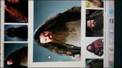 Dans le premier film, quand Hagrid vient chercher Harry pour Poudlard, combien de flammes lance-t-il avec son parapluie ?