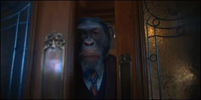 Comment s'appelle le chimpanzé capable de parler et doté d'une grande intelligence ?