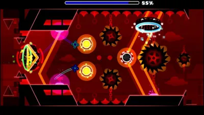 De quel niveau vient cette image ?