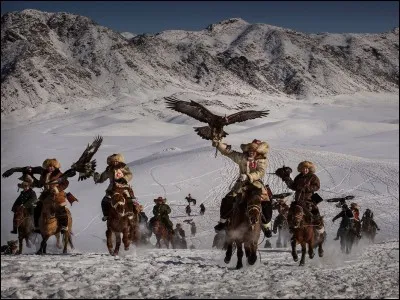Photographie exceptionnelle d'une chasse à l'aigle, forme traditionnelle de fauconnerie trouvée dans toute la steppe eurasienne : elle remonte, d'après les archéologues, à au moins mille ans. Le groupe, composé de 250 individus, chasse les renards pendant l'hiver, quand ils sont plus faciles à voir sur la neige.
Où trouve-t-on, ces coutumes présentées au Festival de l'aigle royal ?