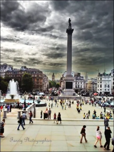 Cette place monumentale à la gloire de Nelson, regroupe de beaux musées autour d'une fontaine et de cette colonne de 40 m. Avouons que la capitale regorge de lieux dédiés à la mémoire des victoires contre Napoléon mais pour Nelson, sa plus fameuse victoire fut au large de l'Espagne.
Quelle est cette place qui célèbre le meilleur marin de l'histoire britannique, qui pourtant y perdit la vie ?