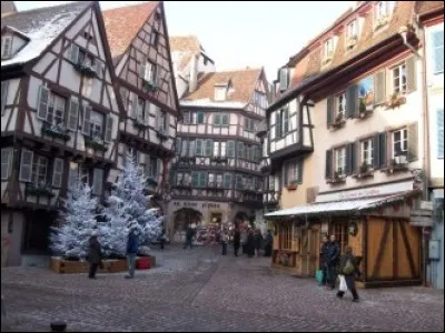J'ai été charmé par les maisons traditionnelles et leurs façades avec des ornementations sculptées. C'est plaisant de déambuler près des canaux ou de photographier les nombreuses et belles enseignes. La vaste zone piétonne de la vieille ville permet d'admirer à loisir toute sa richesse patrimoniale.
Quelle est cette ville qui d'après notre guide, est ''la plus alsacienne des villes d'Alsace.'' ?