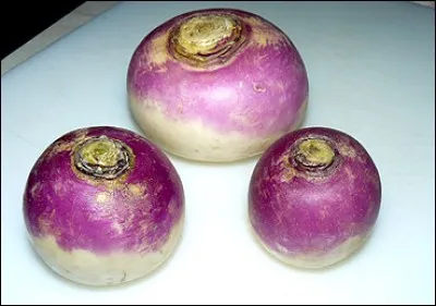 Nous allons déguster un potage freneuse, il aura donc le goût du...