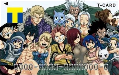 Comment s'appelle la soeur d'Elfman et Mirajane ?