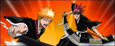 C'est l'histoire d'une frappante rencontre entre Rukia et Ichigo qui va apprendre sa vrai nature et sa destinée :