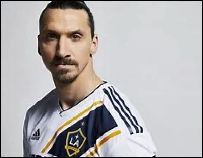 Quel est l'âge de Zlatan Ibrahimović en 2019 ?