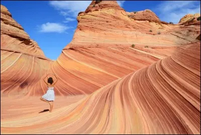Appât universel, utile pour attraper d'écailleuses créatures !
