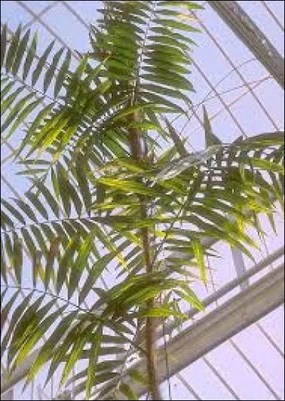 Quelle est la bonne orthographe ?