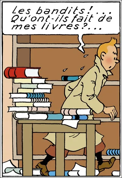 Quelle est l'adresse de l'appartement où réside Tintin dans les premiers albums de la série?