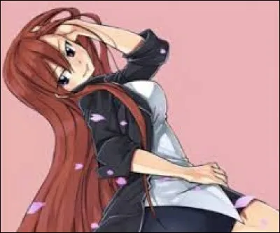 Qui a donné son nom de famille Scarlet à Erza ?