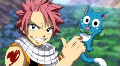 Comment Natsu a-t-il rencontré Happy ?