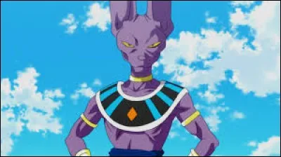 Quel affirmation sur Beerus est vraie ?