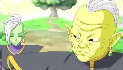 Avec quel objet Beerus stoppe-t-il l'attaque de Zamasu sur Gowasu ?