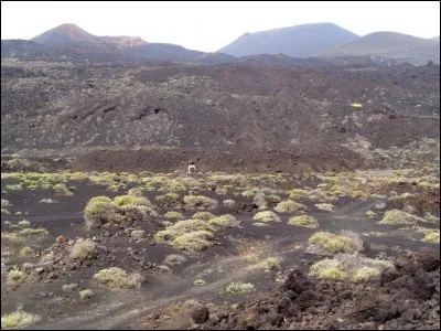 Le sud de l'île est aujourd'hui la partie où le volcanisme est le plus actif. Quel nom, signifiant littéralement "source chaude", la principale localité du sud de l'île porte-t-elle ?
