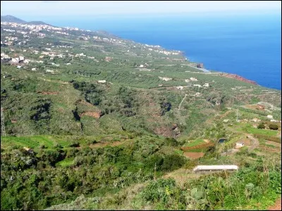 Parmi ces propositions, laquelle ne fait pas partie des principales cultures sur l'île de La Palma ?