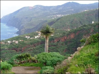Ses paysages sauvages et verdoyants et sa qualité de vie ont valu deux surnoms à La Palma. Cochez la proposition qui n'en est pas un.