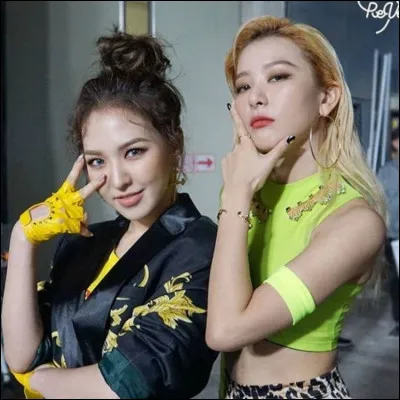 Quel rôle préférez-vous ?