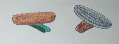 Comment s'appelle cet instrument ?