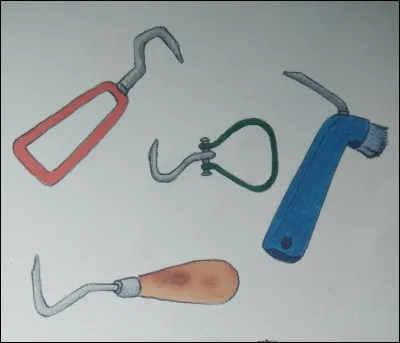 Comment s'appelle cet instrument ?