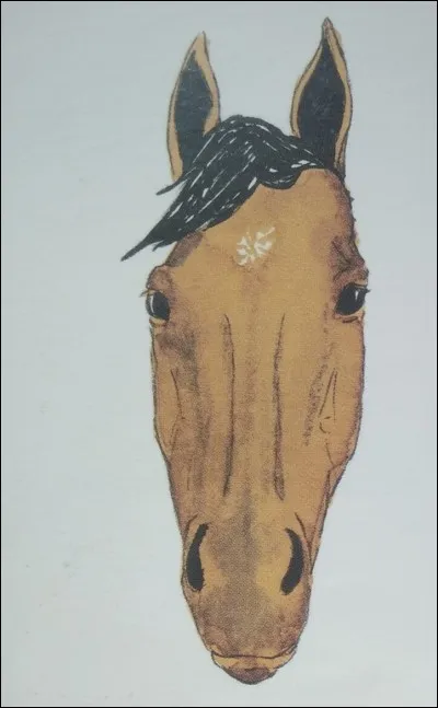 Comment s'appelle cette marque blanche ?