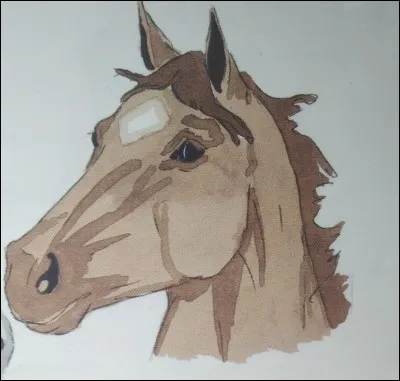 Comment s'appelle cette marque blanche ?