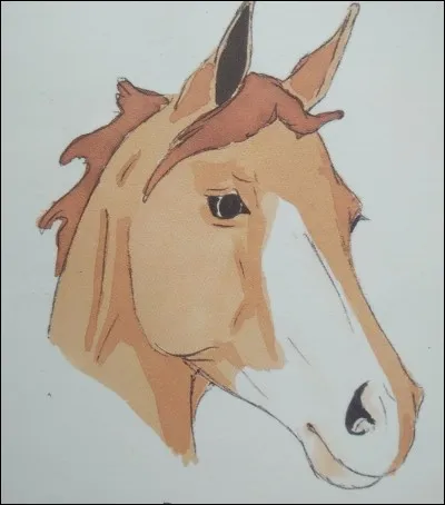 Comment s'appelle cette marque blanche ?