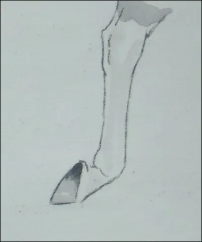 Comment s'appelle cette marque blanche ?