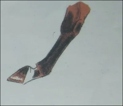 Comment s'appelle cette marque blanche ?