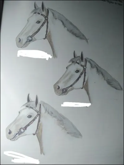 Quel filet est bien positionné ?