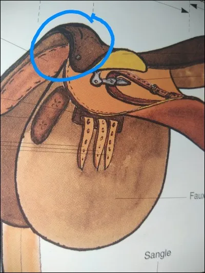 Comment s'appelle la partie entourée en bleu ?