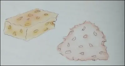 Comment s'appelle cet instrument ?