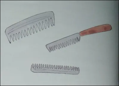 Comment s'appelle cet instrument ?