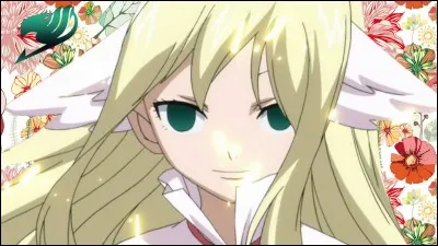 Quels sont les symboles de "Fairy Tail" ?