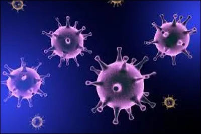 En 2009, quel virus apparaît ?