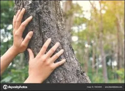 Le toucher, est l'un des sens extéroceptifs de l'humain ou de l'animal, essentiel pour la survie et le développement des êtres vivants. Il est aussi appelé...