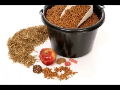 La ration de nourriture donnée à un cheval dépend :