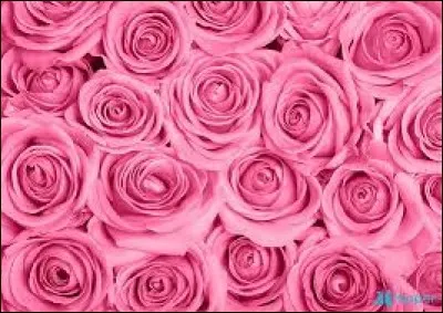 Quelle est la fleur qui a pour symbole la jeunesse ?