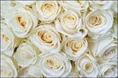 J'exprime le plaisir et la luxure, je suis...