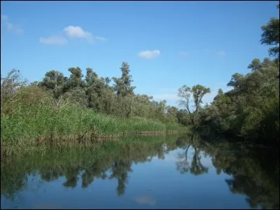 "De Biesbosch" est l'une des plus grandes zones humides ainsi que l'un des plus grands parcs naturels de quel pays ?