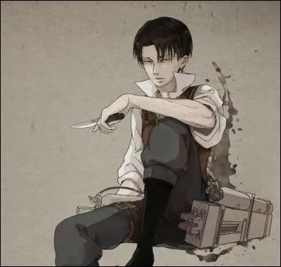 Quel est le plus gros complexe de Livaï ?