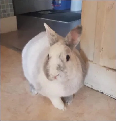 La stérilisation permet :