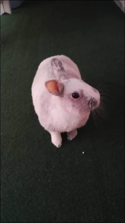 La notion de territoire est :